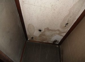 ビルの雨漏り調査と防水と外壁塗装工事　大阪市　Nビル(前編)