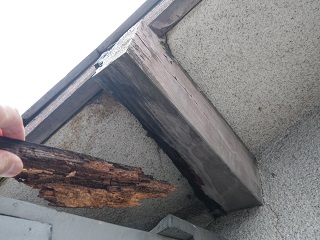 木造住宅の雨漏り修理と外壁補修工事　東大阪市　N様邸