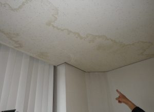 天井に広がる雨漏りシミの原因調査と防水工事　大阪市阿倍野区　D社