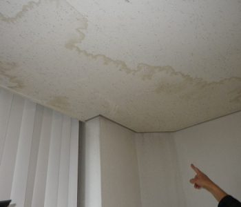 天井に広がる雨漏りシミの原因調査と防水工事　大阪市阿倍野区　D社