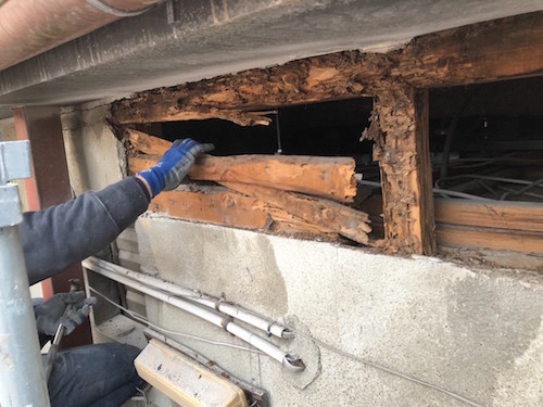 台風でモルタルの外壁が剥がれた｜腐った下地の板を交換して補修　大阪府守口市